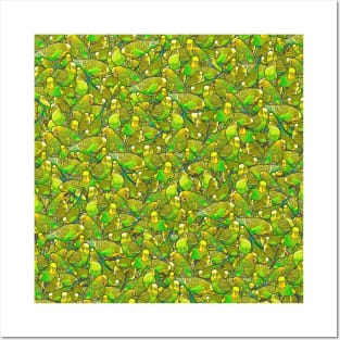 Green Budgie Pattern Posters and Art